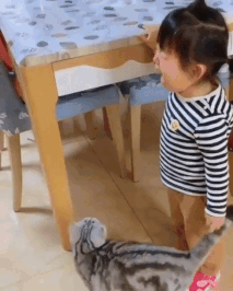 ㅜㅜ 위로해주는 냥이 ㅜㅜ | 인스티즈