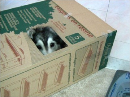 성장환경의 중요성 | 인스티즈