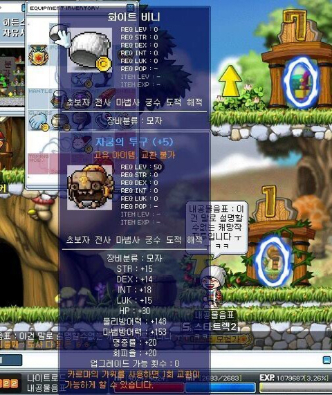 [메이플스토리] 과거 인기 많았던 아이템들 | 인스티즈