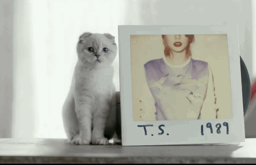 세상에서 가장 부자인 애완동물 Top 5....jpg | 인스티즈