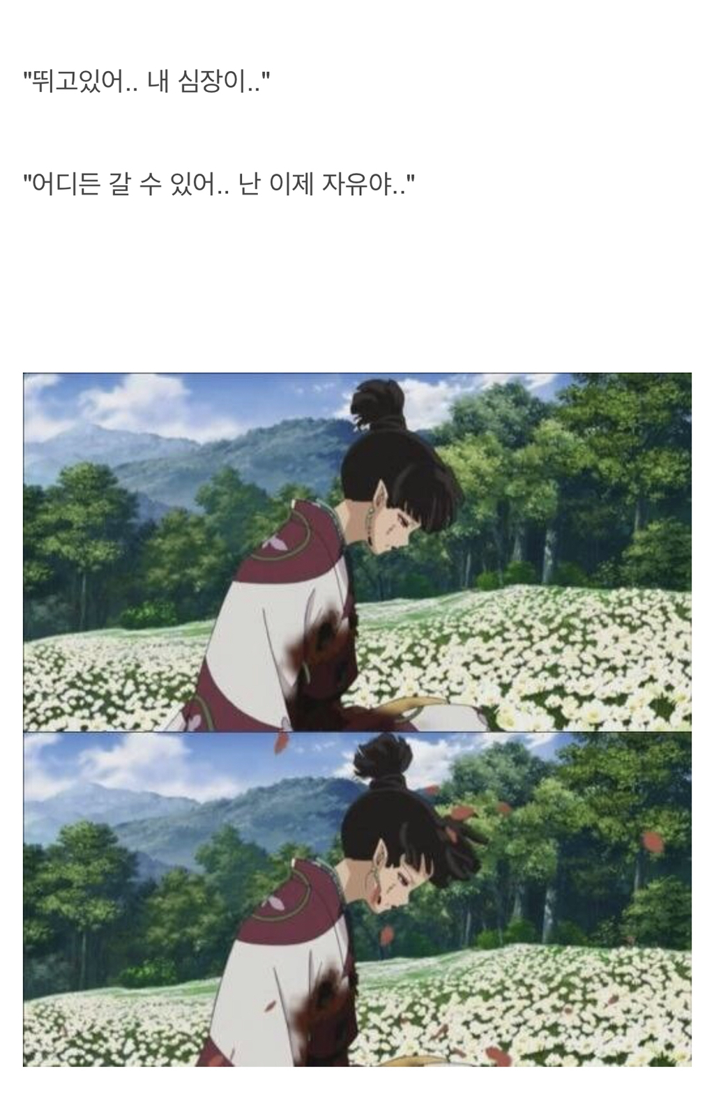 이누야샤 최고의 명장면.jpg | 인스티즈