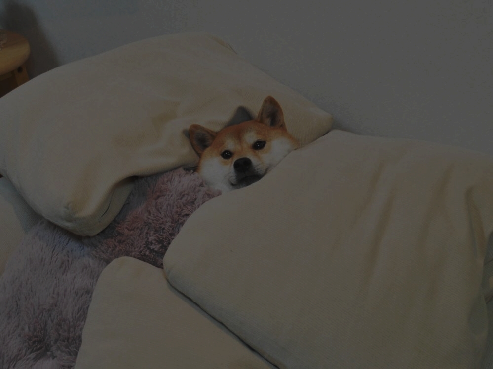 자취하려고 나간 사람 중 반응 극과 극인 것........jpg | 인스티즈