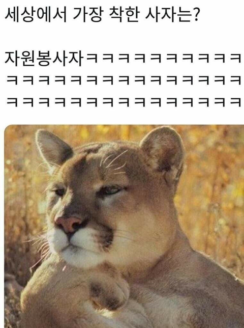 동물개그 모음집.JPG | 인스티즈