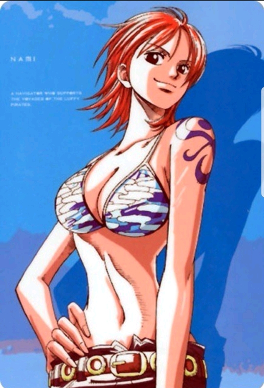 나미 인지도 대결. 인지도 높은 나미는? | 인스티즈