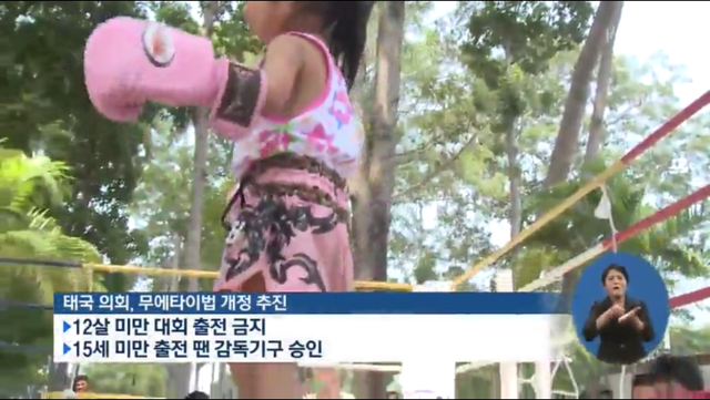 애들을 돈벌이로 경기에 내보낸다는 태국 (13살 소년 사망) | 인스티즈