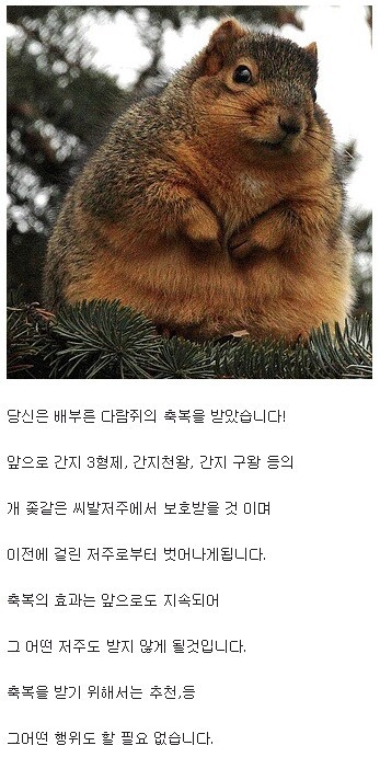 홍대 골목에서 발견된 저주인형 (공포) | 인스티즈