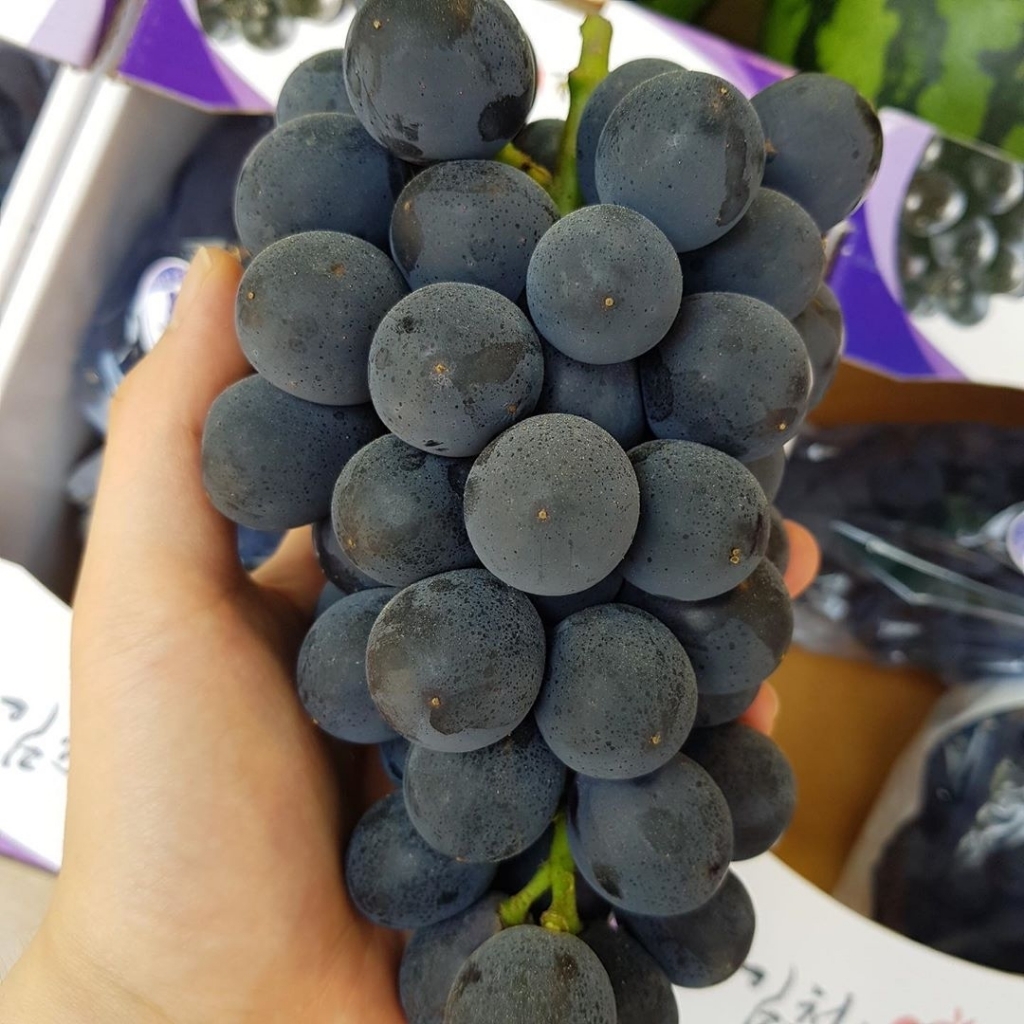 살면서 가장 많이 먹은 것 같은 과일은? | 인스티즈