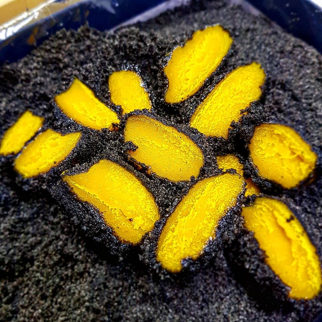 짱맛이라는 흑임자단호박인절미 비주얼........jpg | 인스티즈