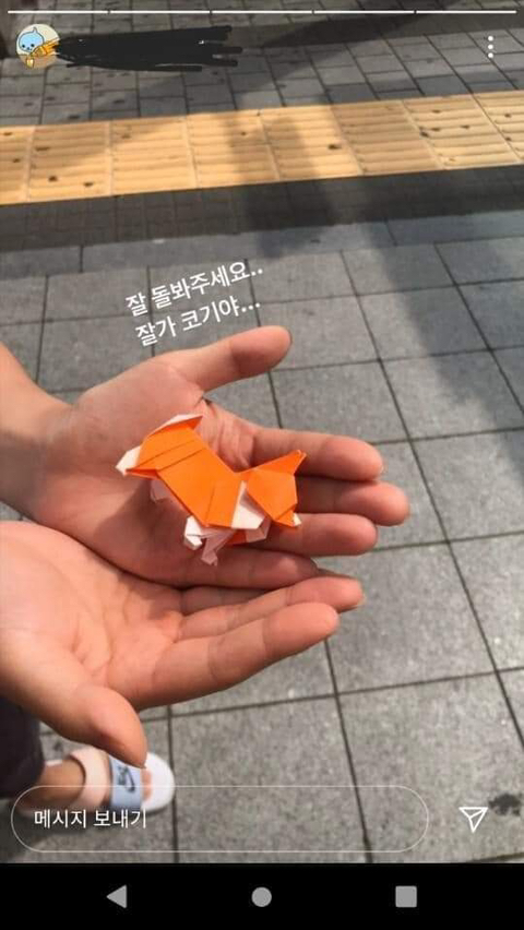 당근마켓 웰시코기 직거래 현장 ㄷㄷ | 인스티즈