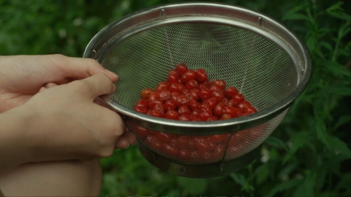 리틀포레스트 여름과 가을에 나온 음식들 | 인스티즈