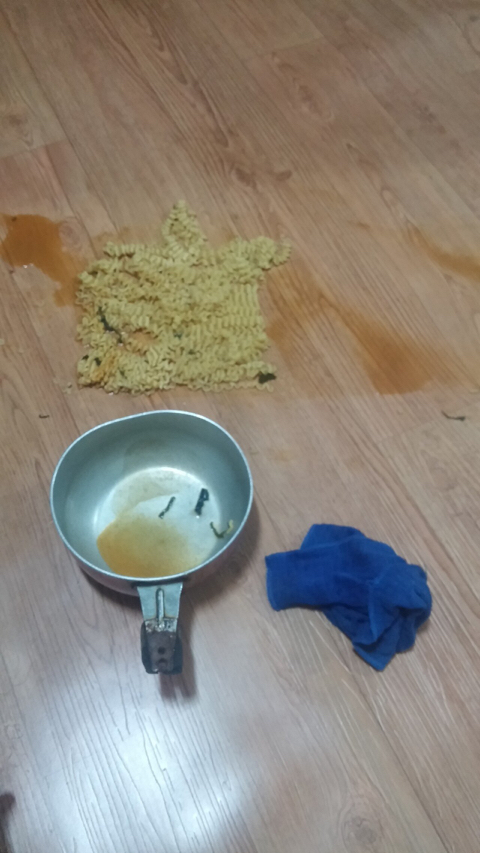 첫 포텐 도전하는 펨코인.jpg | 인스티즈