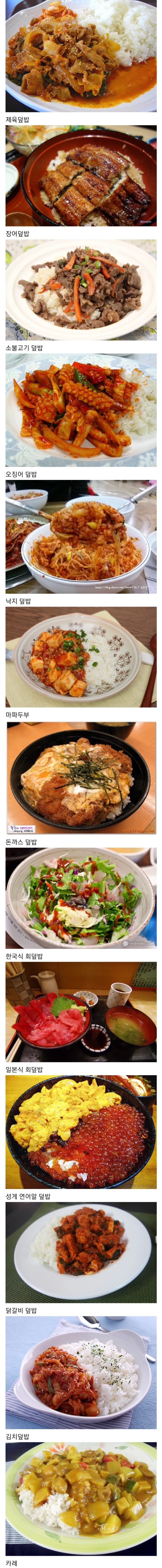 여러가지 덮밥 종류....jpg | 인스티즈