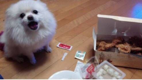 ???: 야야 그거 한입 먹는다고 죽냐 ㅋㅋㅋ | 인스티즈