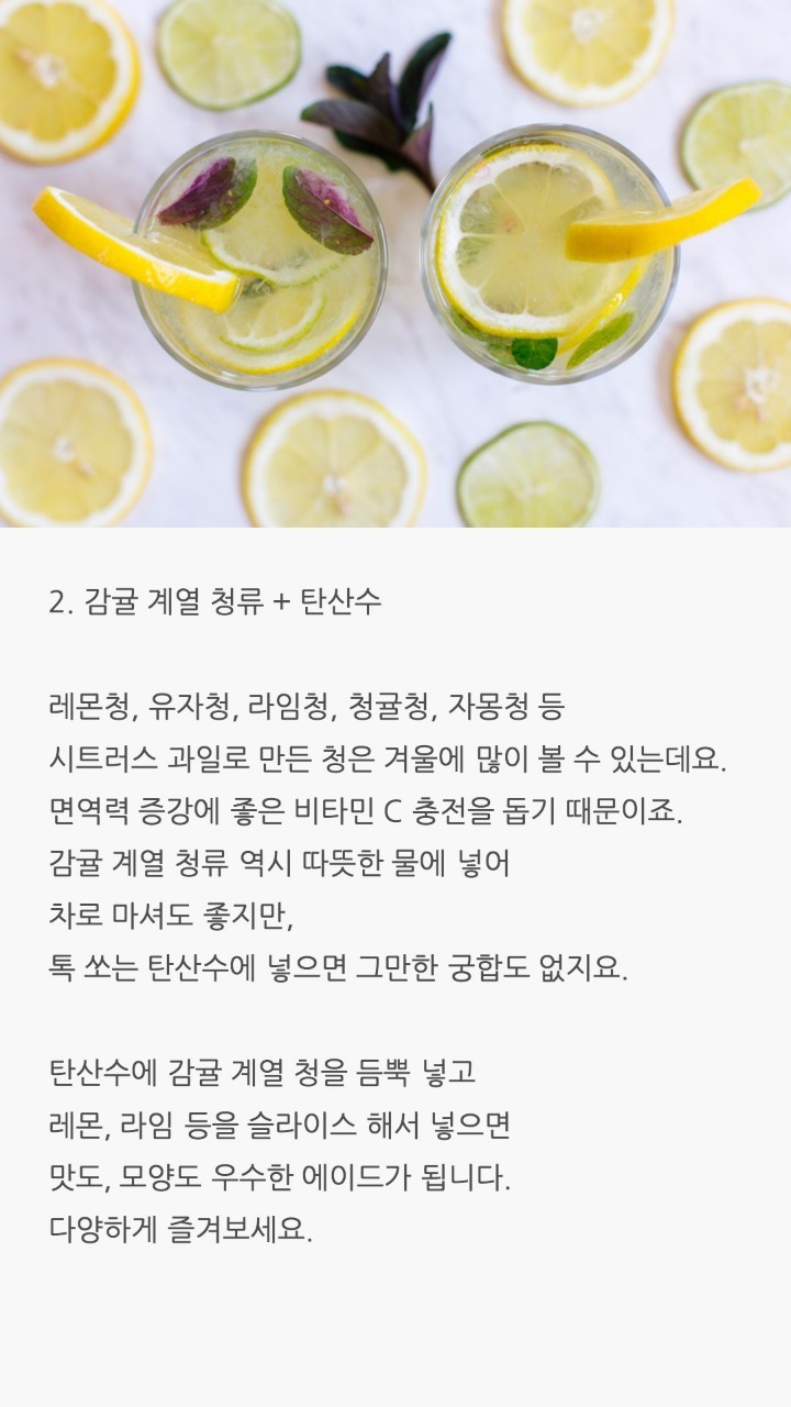 탄산수에 타먹기 좋은것 | 인스티즈