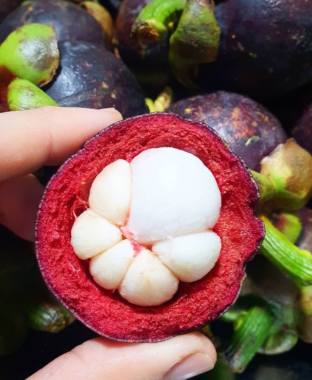 마늘처럼 생겼다는 과일.........jpg | 인스티즈