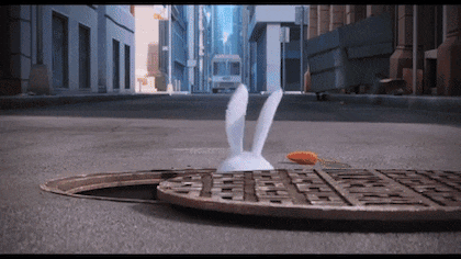 마이펫의 이중생활에서 핵귀여운 스노우볼.gif | 인스티즈