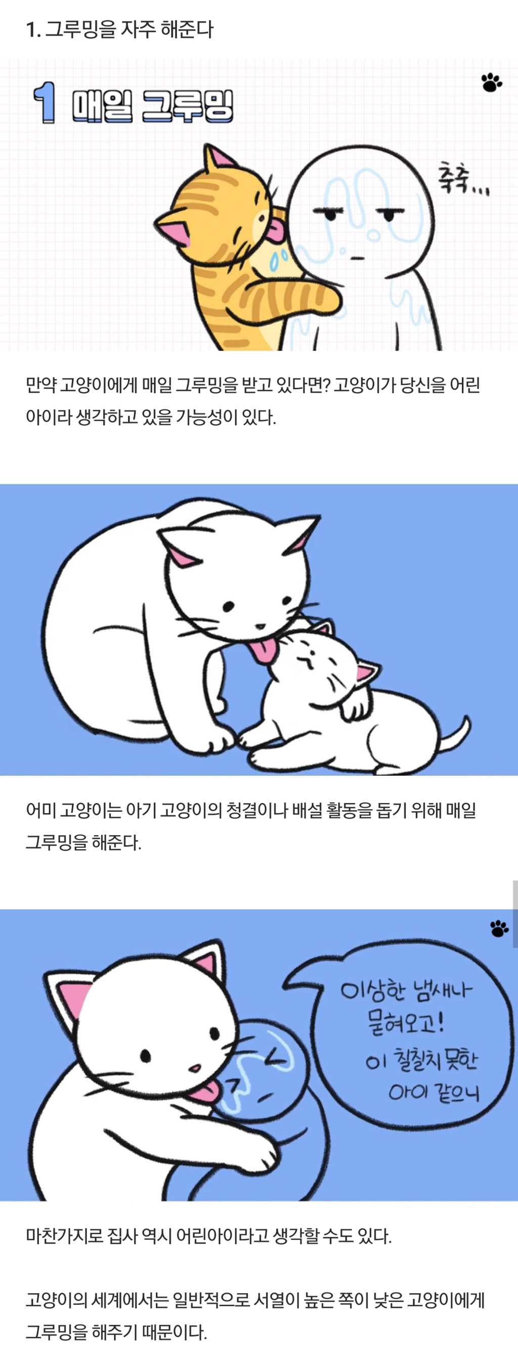 고양이가 집사를 아기고양이라고 생각한다는 증거 6가지 | 인스티즈