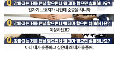 강아지는 제가 핥으면 싫어하면서 왜 저를 핥나요? | 인스티즈