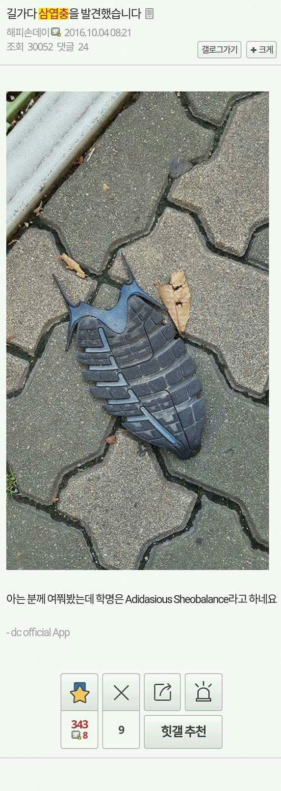 허언증 갤러리 올타임 레전드 모음.jpg | 인스티즈