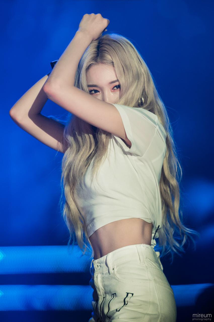 김청하존나마제스티 | 인스티즈