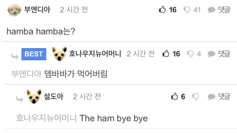 현지에서 흥하는 햄 드립 ㅋㅋ | 인스티즈