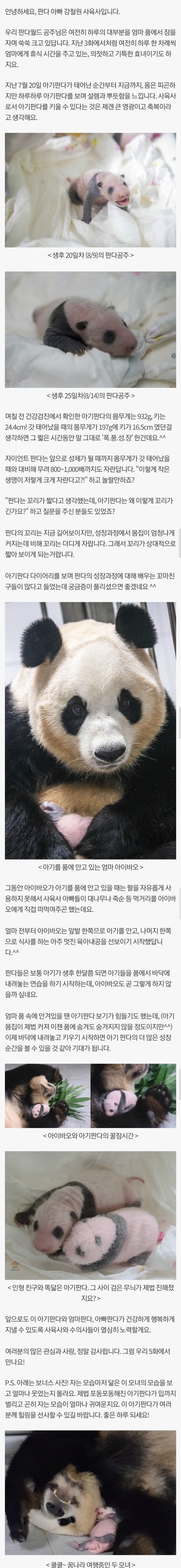 에버랜드 아기판다 근황 | 인스티즈