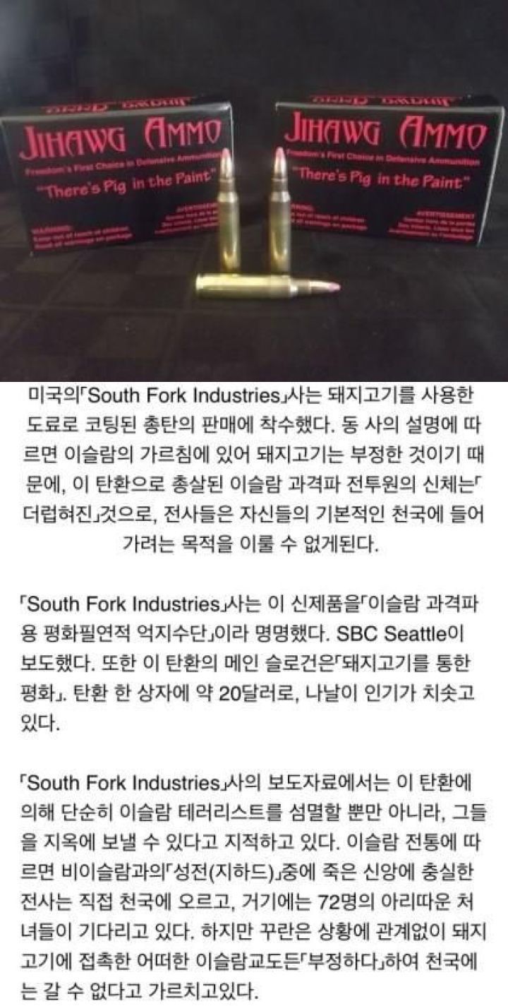 맞으면 지옥가는 총탄.jpg | 인스티즈