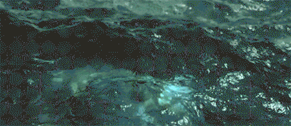 블리자드 사망 플래그.gif | 인스티즈