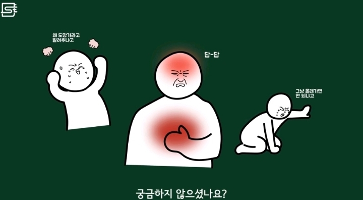 경찰차는 왜 범인 근처에서도 사이렌을 끄지 않을까? | 인스티즈