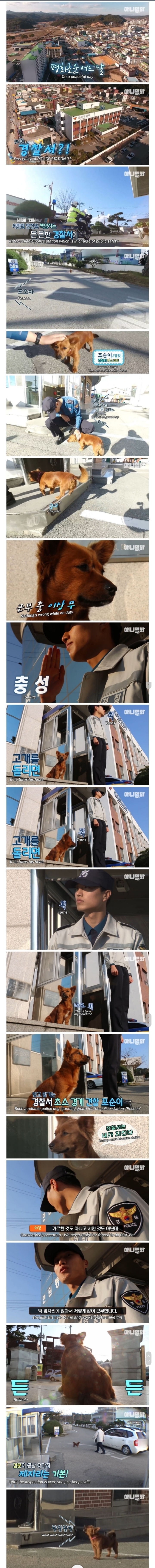 자식들에게 직업 대물림해주는 견찰.jpg | 인스티즈