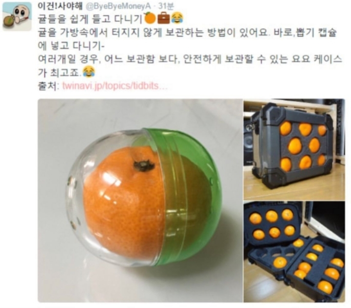 귤 안전하게 들고다니는 법.JPG | 인스티즈
