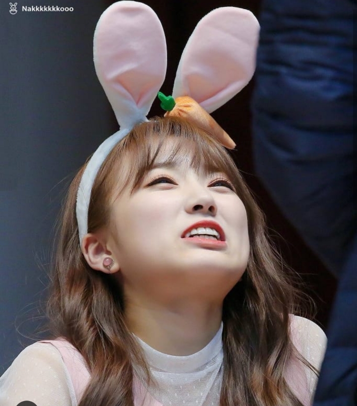 끼어버린 김나코ㅋㅋㅋㅋㅋㅋㅋㅋㅋㅋ (아이즈원) | 인스티즈