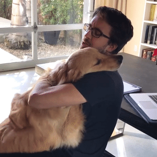 주인님이 너무나 좋은 댕댕이들.gif | 인스티즈