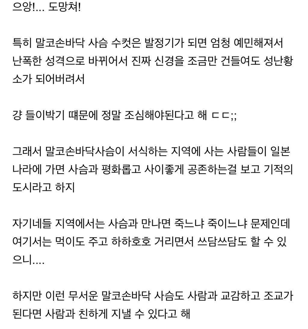시슴....시슴을 조심하십시오...! | 인스티즈