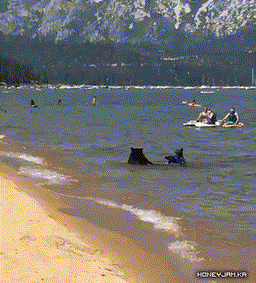 흔한 러시아의 해수욕장.gif | 인스티즈