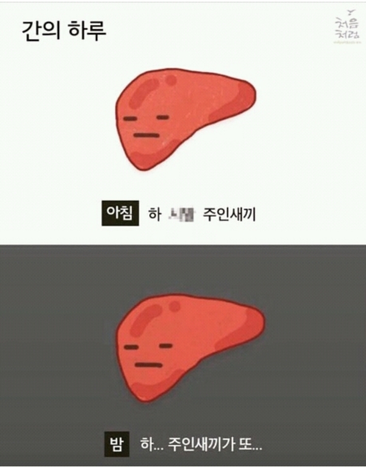 술 종류별 해독에 걸리는 시간 | 인스티즈
