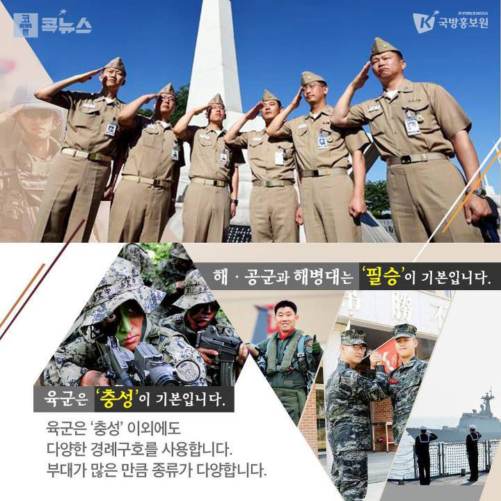 군대 부대별 다양한 경례 구호 | 인스티즈