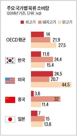 중국인들이 아직도 믿는것 고기론 | 인스티즈