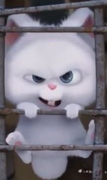 마이펫의 이중생활에서 핵귀여운 스노우볼.gif | 인스티즈