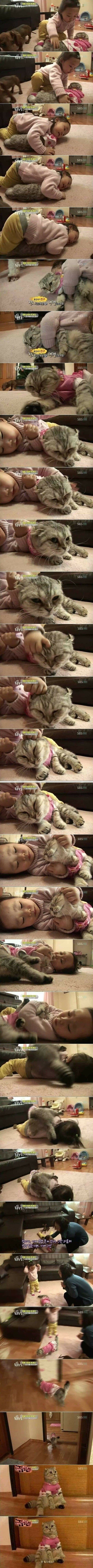 극한직업 고양이편 | 인스티즈