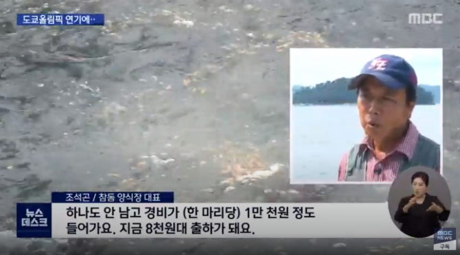 도쿄 올림픽 연기때문에 뜻밖에 피해를 보고있는 양식장 어민들.jpg | 인스티즈