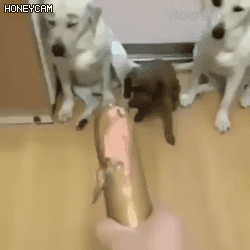 ??? : 이거 누가 이렇게 해놨어! 어?! | 인스티즈