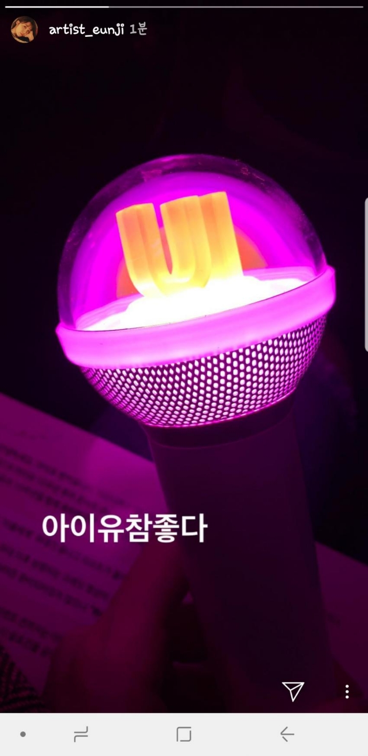 아이유 서울 일요일 콘서트에 온 연예인 .gif | 인스티즈