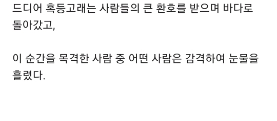 해안가로 떠밀려온 흑동고래.jpg | 인스티즈