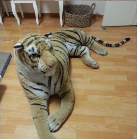 중고나라 호랑이 인형 판매 사유.jpg | 인스티즈
