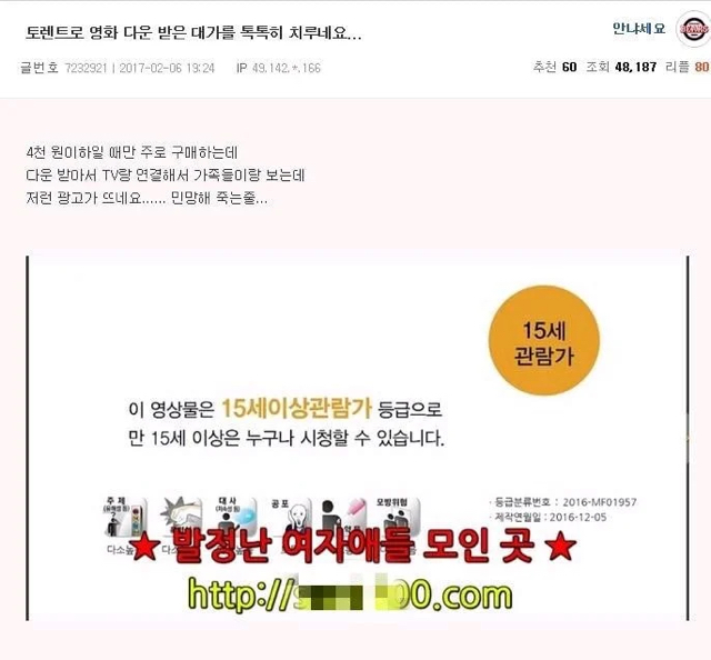 토렌트 불법 다운로드의 결과 | 인스티즈