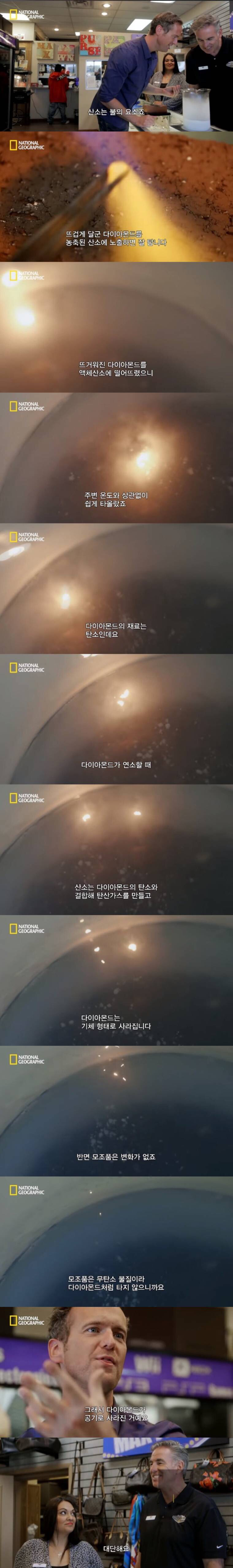 가짜 다이야 구별 | 인스티즈