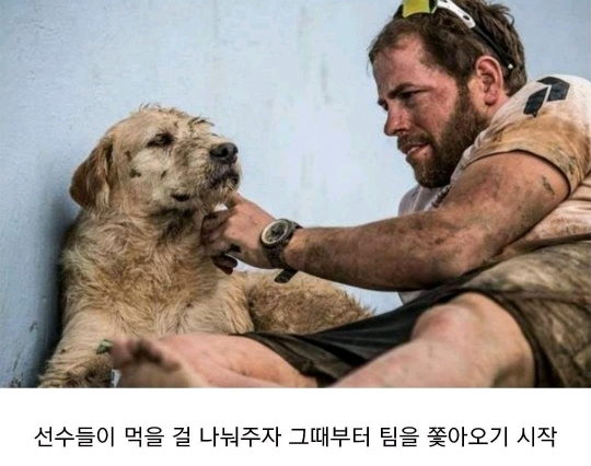 버려진 골든 댕댕이 | 인스티즈