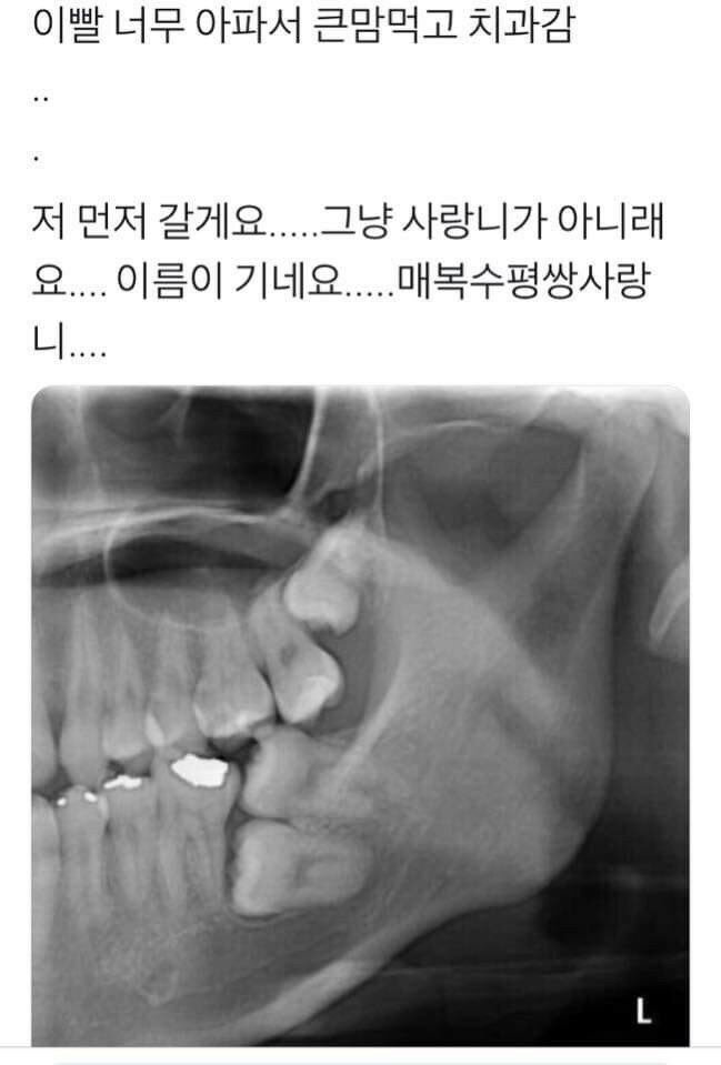 전생에 나라 팔아먹은자 | 인스티즈