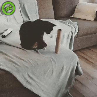 뜻 밖의 시리즈.gif | 인스티즈